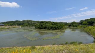 【天白区原】の気になる「育児・教育環境」総まとめ ― 名古屋市東側エリア住宅地で鶴舞線沿線の子育て環境を徹底調査！